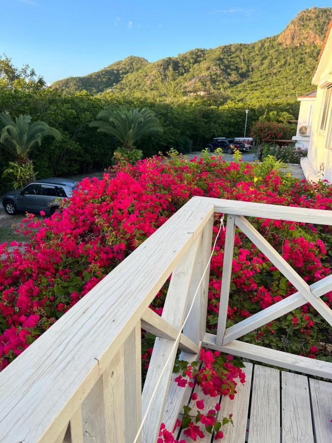 Sunny Villa In The Marina - Excellent Water Views Jolly Harbour Eksteriør bilde